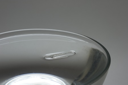 Surface Tension - Capillary Action - Liquid in a vertical tube