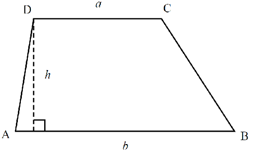 trapezium quadrilateral